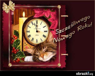 SZCZĘŚLIWEGO NOWEGO ROKU 2013