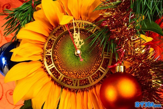 STARY  ROK  mija ,  lecz  marzenia  zostaja ,  niech  one  sie  tobie  wszystkie  spelniaja ,  i z  NOWYM  ROKIEM   niech  los  ci  sie  odmieni ,  a  ogrod   zycia wnet  zazieleni ,,,,