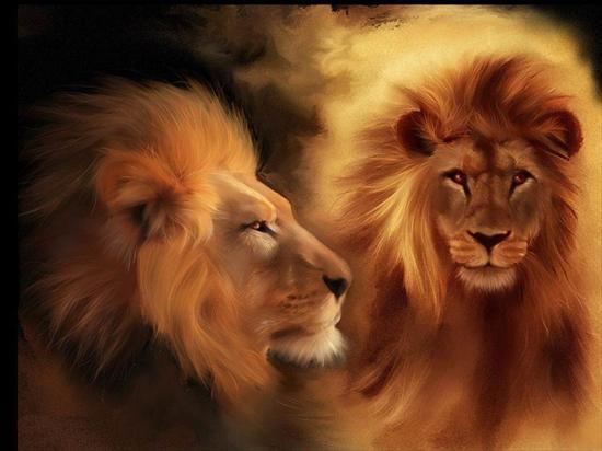 ZAPRZYJAŻNIONE CHOMIKI