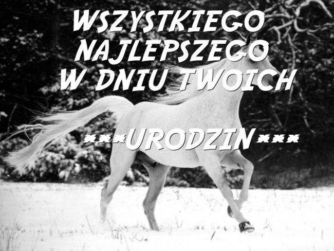 Karolowi...W dniu Twoich urodzin;***