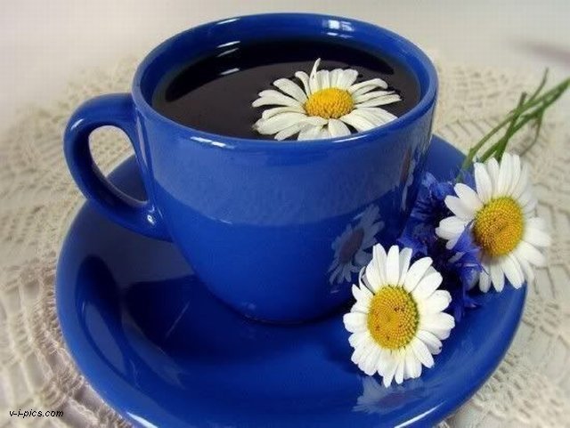 bo ja kocham błękit - ewa2707_77