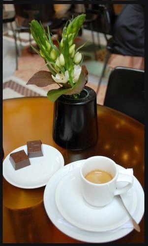 Pozdrowienia dla Właściela Portalu