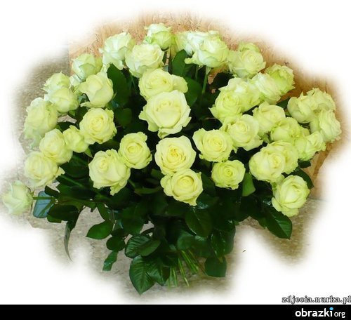 Pamięć o mojej Żonie