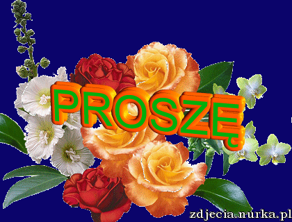 Przyjaciel to ktoś, kto mnie potrzebuje,    ufa mi i jest szczęśliwy, gdy przynoszę dobre nowiny  to ktoś, kto nigdy nie odejdzie.