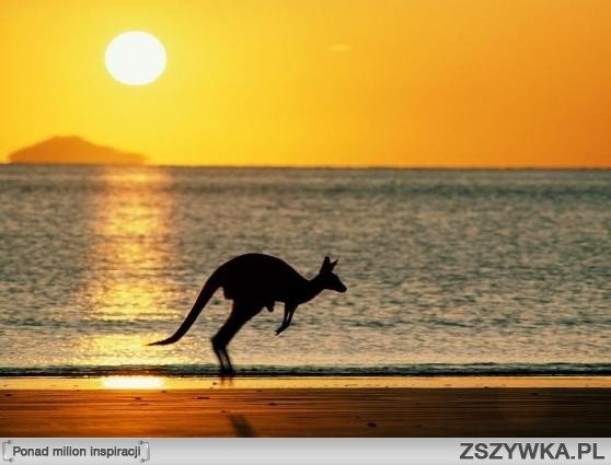 MARZENIA O PODRÓŻY