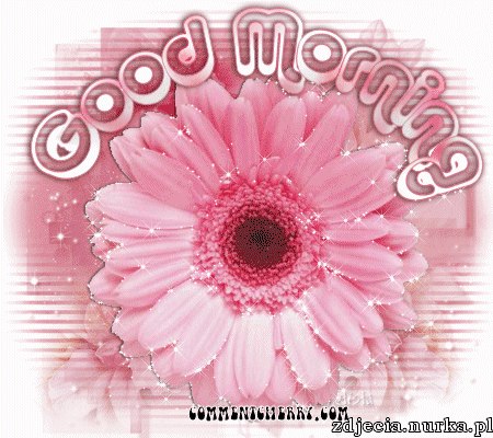 GOOD  ##   MORNING ##   ZYCZE  TOBIE   MILEGO  DNIA