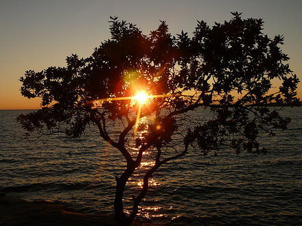 TO DLA CIEBIE SAMOTNA MARZYCIELKO