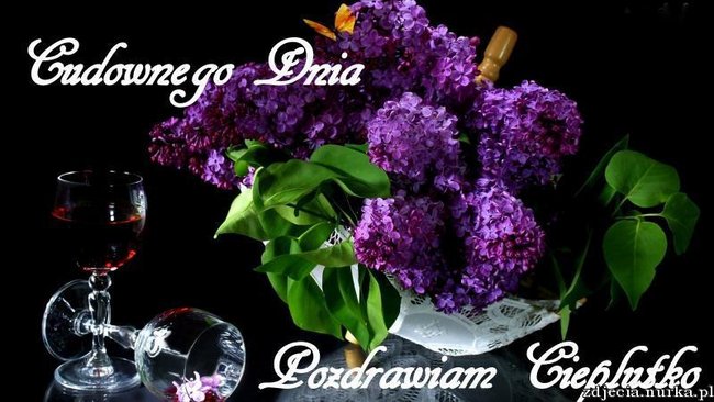 GOOD  # MORNING ###   DZIEN  DOBERKI ::::