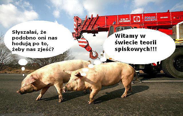 Dla zmor slajdzikowych