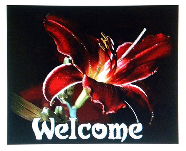 Festiwal Kwiatów i sztuki