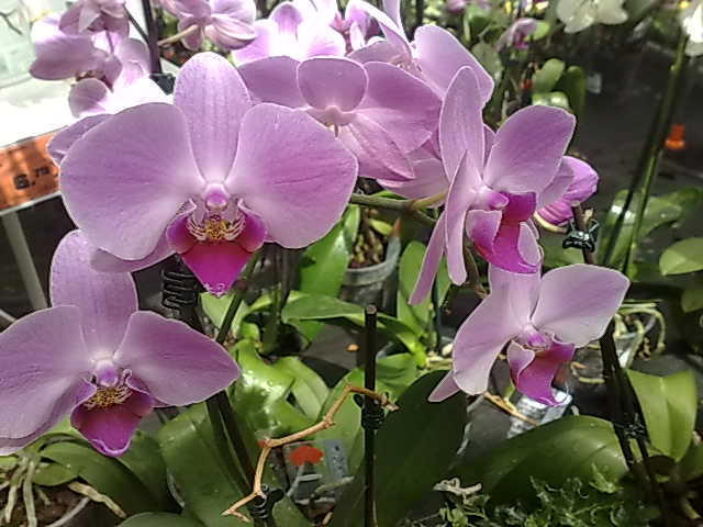 Witam serdecznie i pozdrawiam.