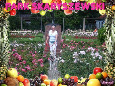 Dodaj do kontaktów podróżniczych