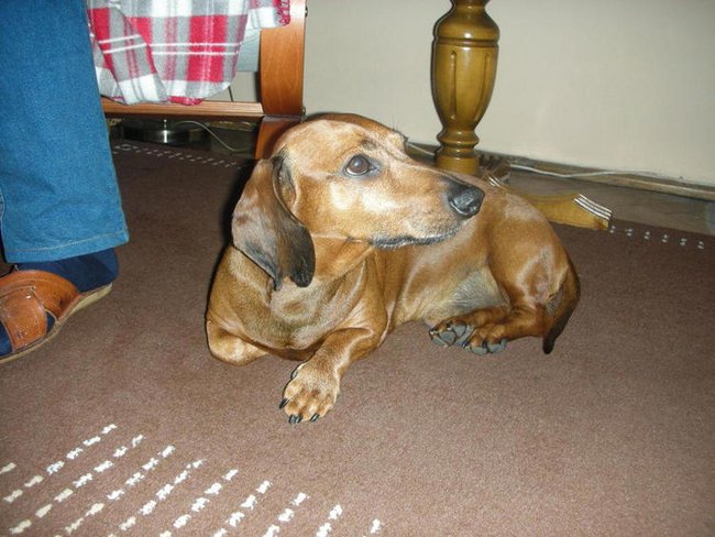 Dodaj do kontaktów podróżniczych