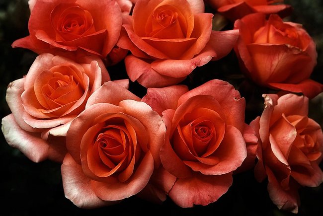 Grażynko to dla Ciebie:)