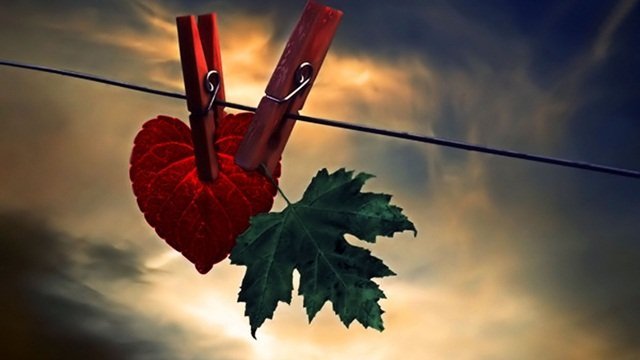 Cóż Ci mogę dać Kochany?