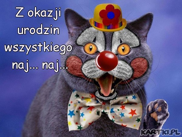 Dla Beatki od Kota ;*