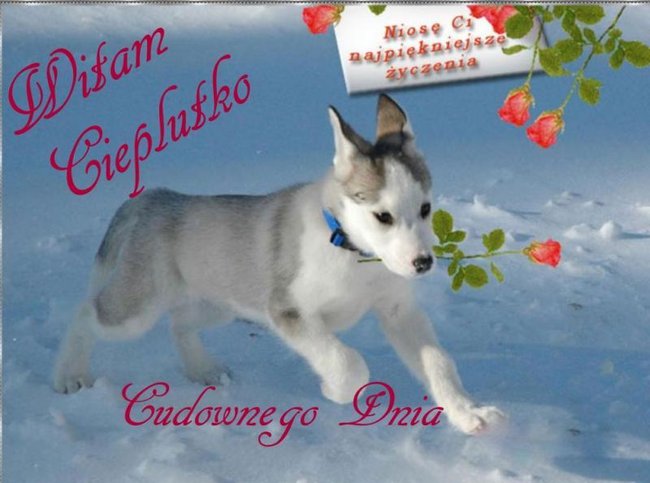 Wszystkiego naj ..... życzy Danka z rodziną