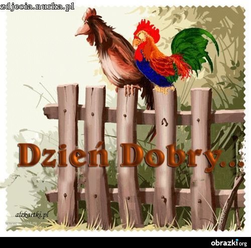 DLA PRZYJACIOL I ZNAJOMYCH Z NASZAJ KL: