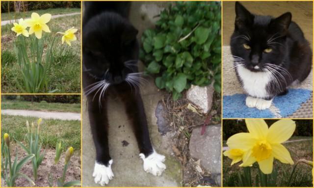 WIOSNĄ KTOŚ ZAWSZE CZEKA ....