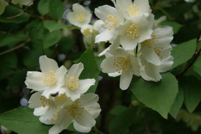 Życie płynie jak woda.