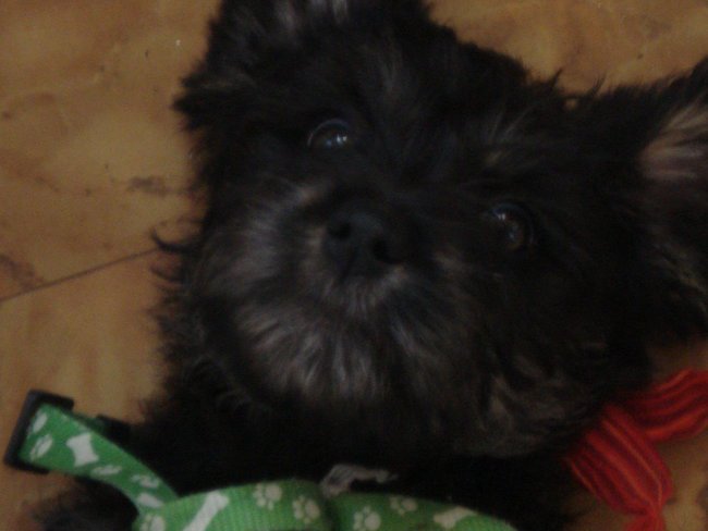 Na miło chumor śmiech