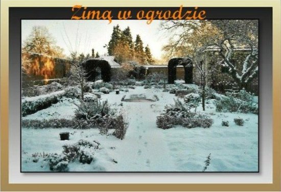 Ogród w zimie.