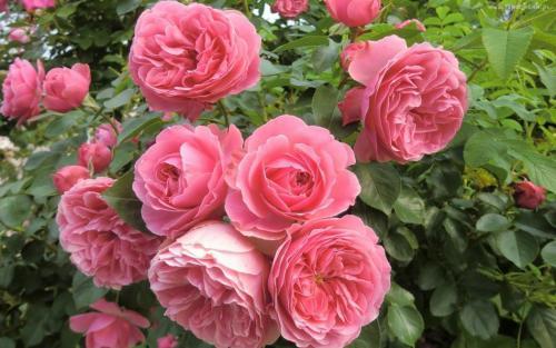 Śub 6-kwietnia 2013 r.