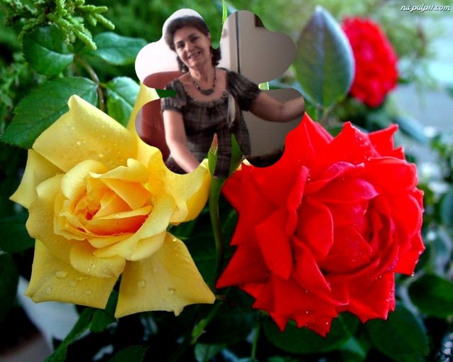 Nie Zostawiaj Nigdy Mnie