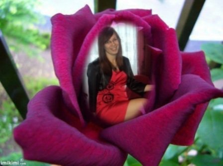 Z NIEBA  DAR-IMPRESS