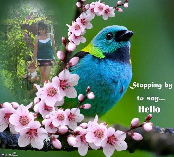 Pozdrawiam Irenko _Basia ci słonka życzy