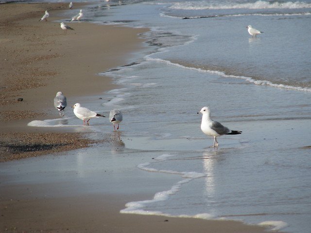 małe tęsknoty..... kto ich nie posiada.....