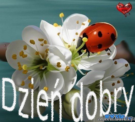 Już pora wstać by ruszyć z domu, przyjaciela spotkać już