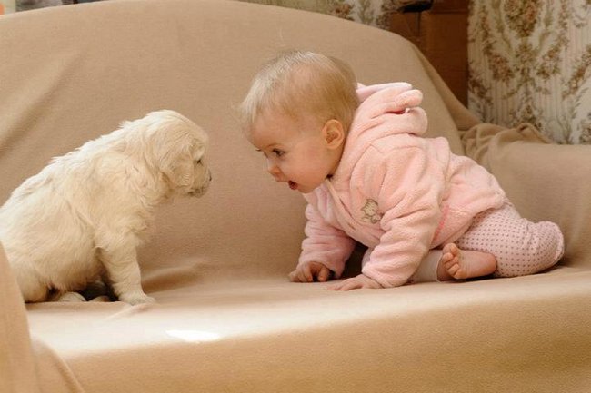 Nasi wierni przyjaciele