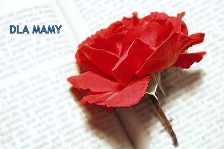 dla Mamy 26.05.2013
