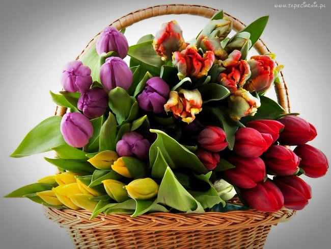 Moja kochana rodzinka....