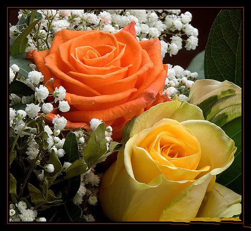 Slajdzik dla miłej Pani.