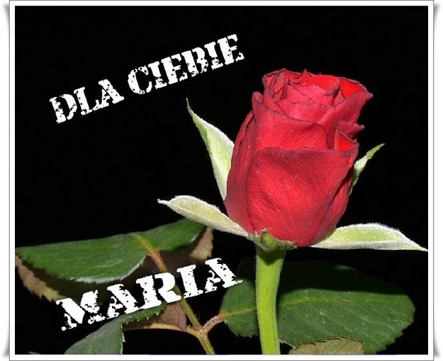 Pięknego wieczoru życzę.