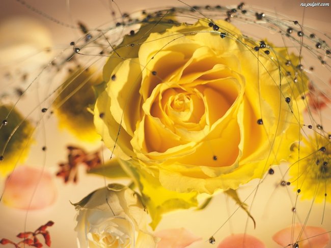 JA I MOI RODZICE ORAZ TOMEK