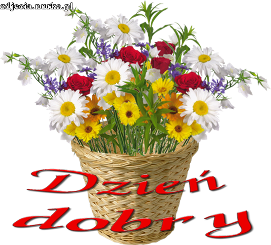 CUDOWNEGO NOWEGO TYGODNIA ...