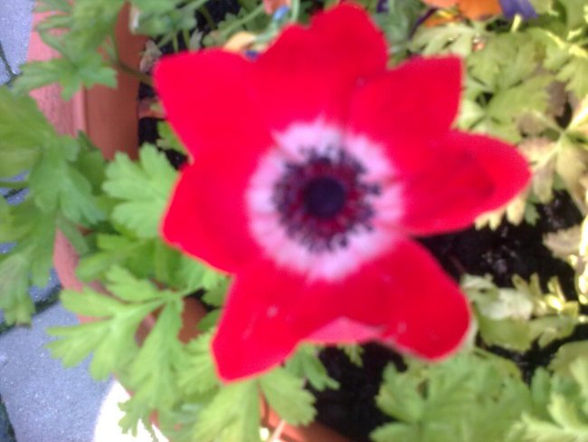 Dla Ciebie Córeczko :)