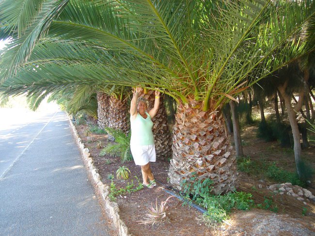 DLA  MOICH PRZYJACIÓŁ