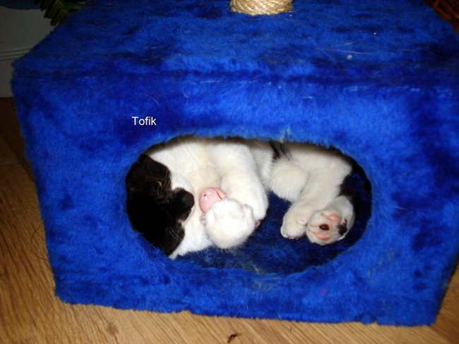 do zakochania jeden krok