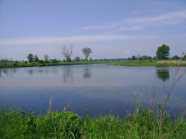 niebo z Twoich ,polskich stron...