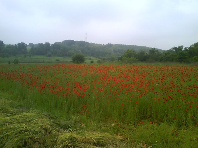 ej ! , sobótka ,sobótka  ...