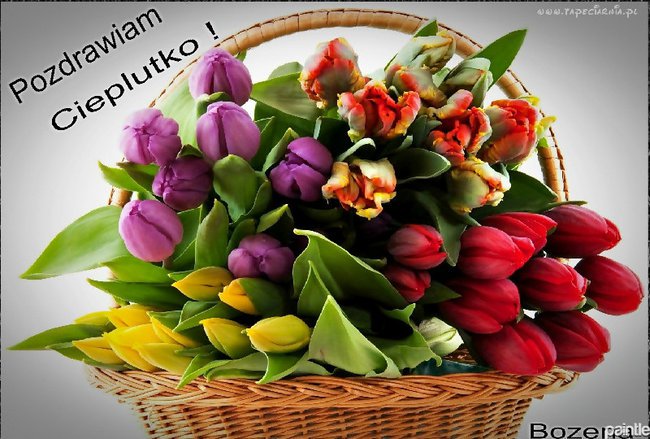 Serdecznie Pozdrawiam