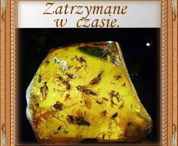 ZATRZYMANE W CZASIE.