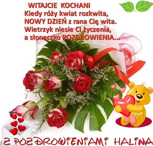 POZDRAWIAM WSZYSTKICH PRZYJACIOL=HALINA