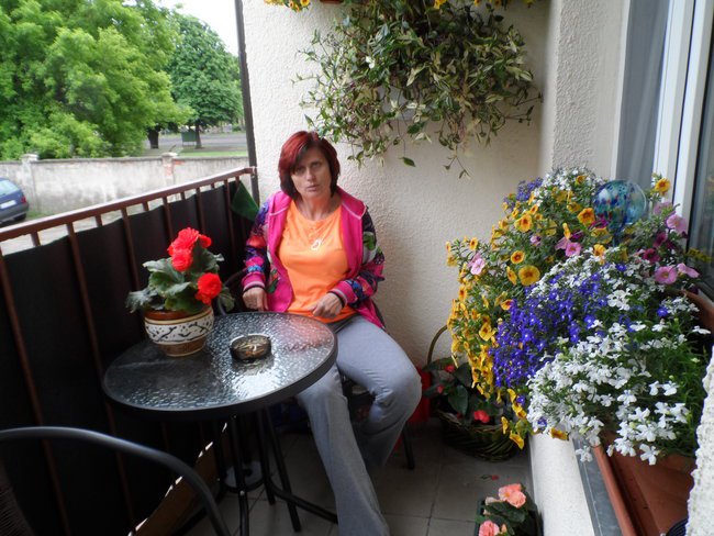 WARSZAWIANKA W GRUDZIĄDZU I OKOLICACH