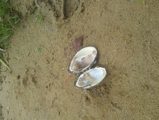 No to już wakacje ;D