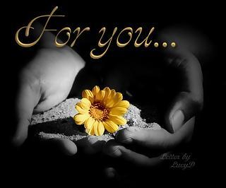 Miłość czy przyjazn :)